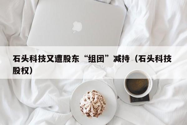 石头科技又遭股东“组团”减持（石头科技 股权）