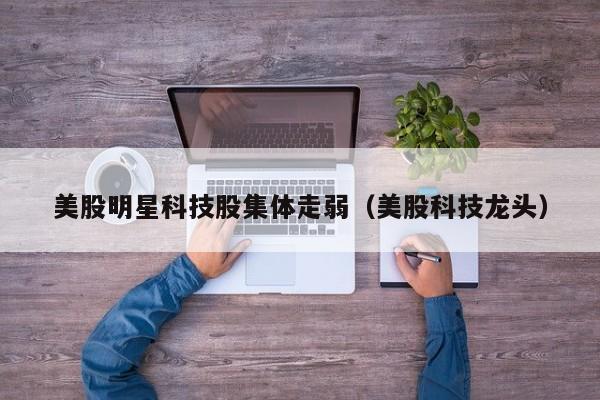 美股明星科技股集体走弱（美股科技龙头）